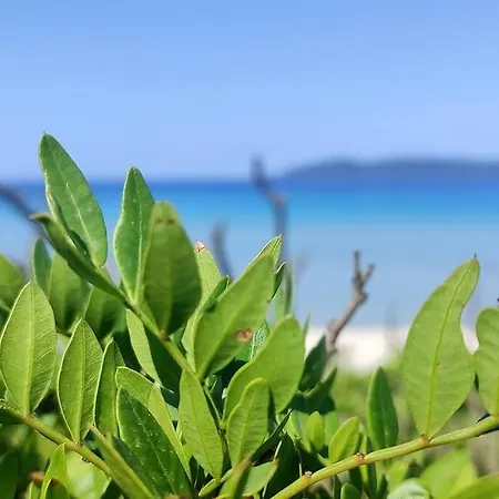 דירה Gente Di Mare *