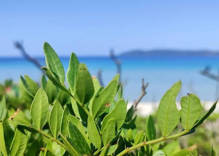 Apartment Gente Di Mare *